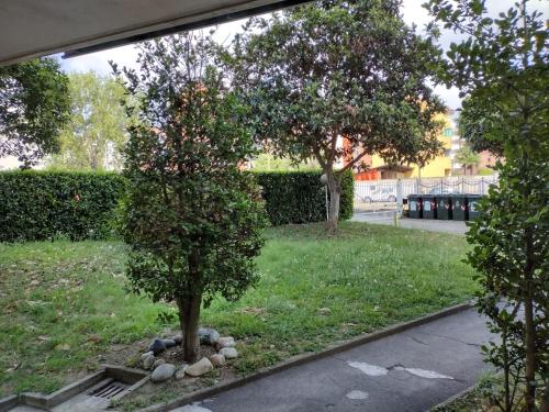 a tree in the middle of a yard at Albergo Guido Reni in Turin