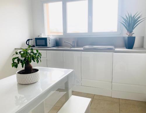 a white kitchen with a potted plant on a white bench at Maison plain-pied avec accès PMR in Warcq