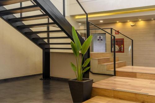 a plant in a pot in a lobby with stairs at City Express Plus by Marriott Bogota Aeropuerto in Bogotá