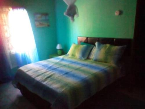 BUCKINGHAM VILLA -SUITES FULL KITCHEN-Rooms Variety في Buff Bay: غرفة نوم زرقاء مع سرير مع نافذة