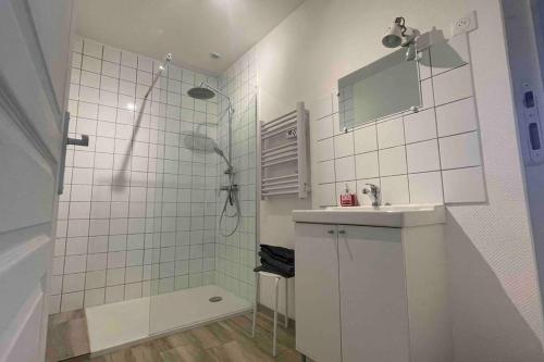 uma casa de banho com um chuveiro e um lavatório. em Logement 3 personnes. em Vitry-le-François
