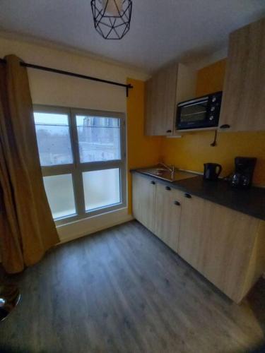 Cette chambre dispose d'une cuisine avec une fenêtre et un four micro-ondes. dans l'établissement La Grelauderie 3, à Saintes