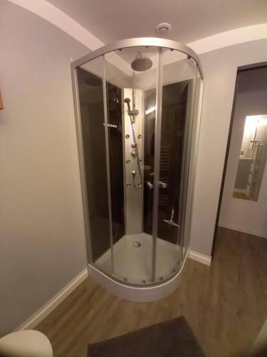 La salle de bains est pourvue d'une douche et d'une cabine de verre. dans l'établissement La Grelauderie 3, à Saintes