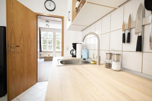 a kitchen with a sink and a counter top at Apartments an der Oper - Innenstadt - Zentral - Küche - Wifi - Powered by Ko-Living in Halle an der Saale