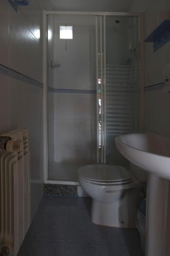 a bathroom with a shower and a toilet and a sink at Apartamentos El Campal in Felechosa