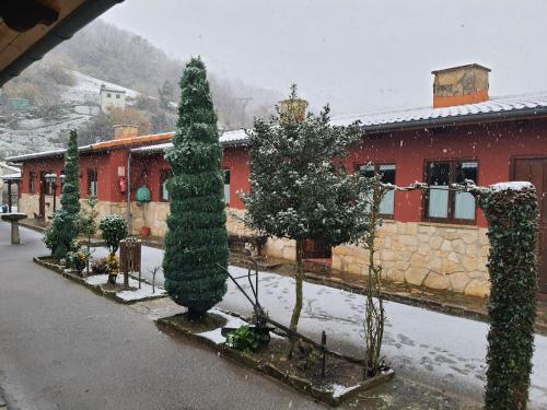 a group of trees in front of a building in the snow at Apartamentos El Campal in Felechosa