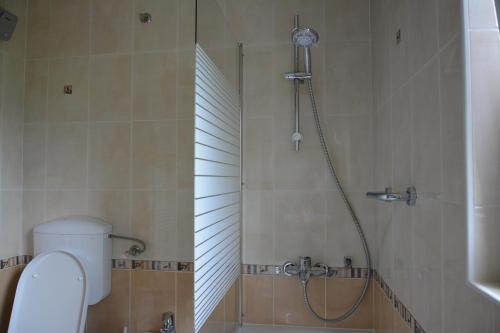 ein Bad mit einer Dusche, einem WC und einem Waschbecken in der Unterkunft Apartment Ljubljana Marsh Nature Park 