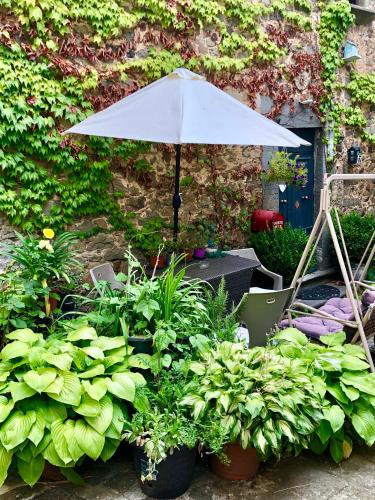 a white umbrella and plants in a garden at Il Priorato in Pescia