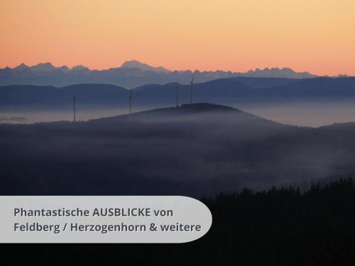 a view of a foggy mountain with wind turbines in the background at FeWo schwarzwaldschick Feldberg I wandern & biken ab Haustür I Whirlpool & Wlan & Balkon & Tiefgarage in Feldberg