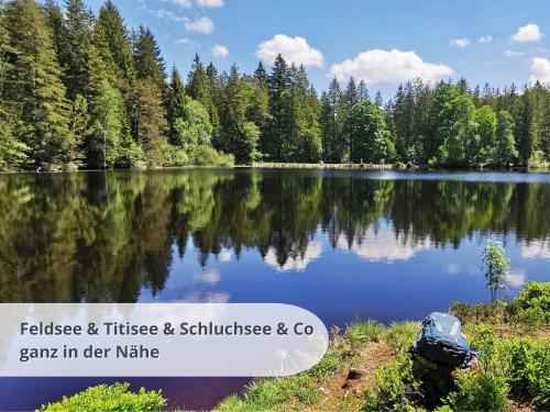 a view of a lake with trees in the background at FeWo schwarzwaldschick Feldberg I wandern & biken ab Haustür I Whirlpool & Wlan & Balkon & Tiefgarage in Feldberg