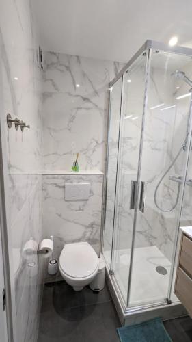 une salle de bain blanche avec douche et toilettes dans l'établissement Cottage Cabourg plage avec jardin et vélos, à Cabourg