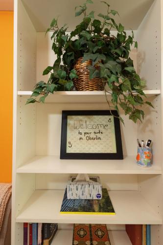 Biblioteca en la casa o chalet