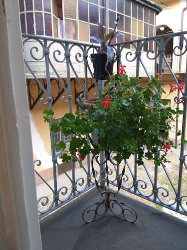 a potted plant sitting on a iron fence at La Falconiera in Vigevano