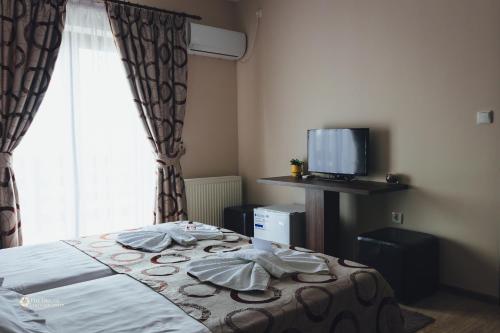 een slaapkamer met een bed, een tv en een raam bij Pensiunea Willy Silvas in Tăşnad