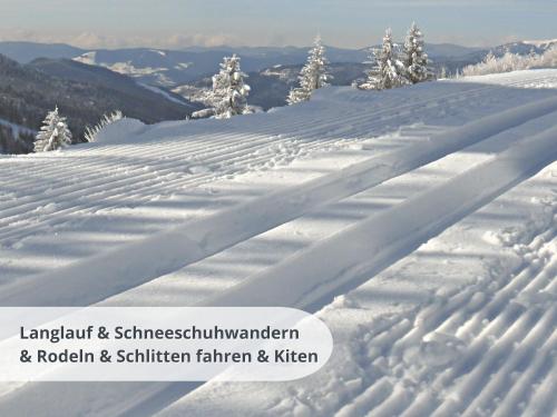 a snow covered slope with trees in the distance at FeWo schwarzwaldschick Feldberg I wandern & biken ab Haustür I Whirlpool & Wlan & Balkon & Tiefgarage in Feldberg