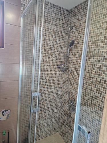 baño con ducha y puerta de cristal en Mountain Haven Deluxe, en Žabljak