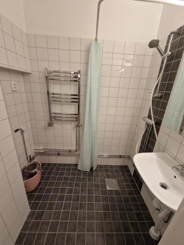 a bathroom with a shower and a sink at Home Inn BRG15 in Stockholm