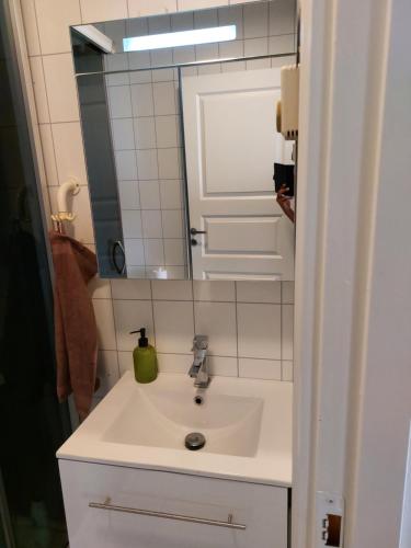 W łazience znajduje się umywalka i lustro. w obiekcie Herasbygda 