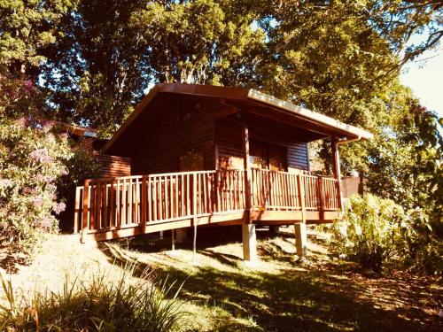 a log cabin with a large deck in the yard at Cabañas San Gerardo in San Gerardo de Dota