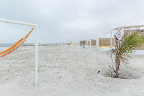 サラーラにあるAVICENNIA BEACH DOMESのギャラリーの写真