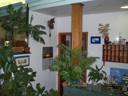 Fotografie z fotogalerie ubytování Hotel Bar Dany v destinaci Bastardo