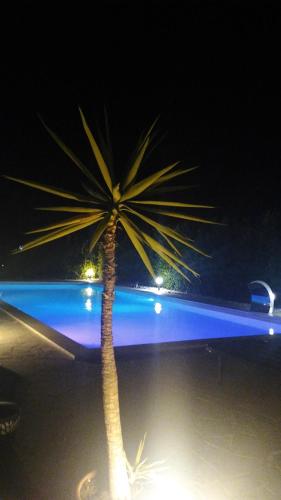 eine Palme mitten auf einer Straße nachts in der Unterkunft Poolhouse in Brucoli