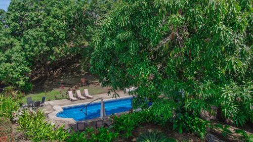 a swimming pool with chairs and a tree at Surf Synergy All-Inclusive Surf and Wellness Retreat in Jacó