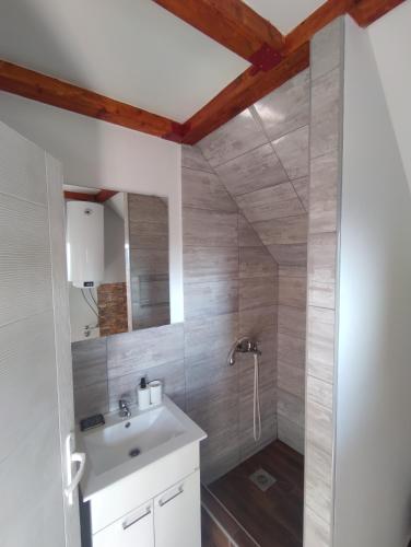 uma casa de banho com um lavatório e um chuveiro em Marković Apartments (vidikovac) em Donji Milanovac