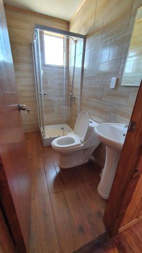 a bathroom with a toilet and a sink and a shower at Cabañas Llepu in Linares