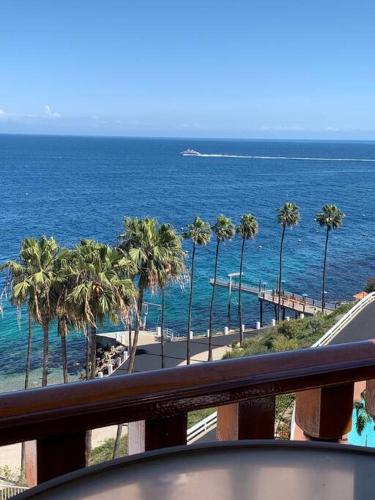 a view of a beach with palm trees and the ocean at Hamilton Cove Panoramic Ocean View Condo #2/32 in Avalon