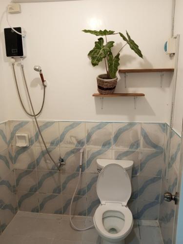 a bathroom with a toilet and a plant on a shelf at LALUNA COTTAGES in El Nido
