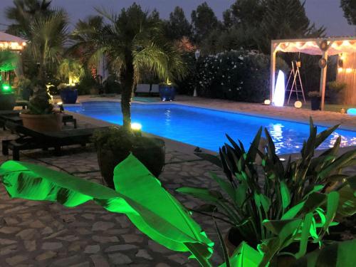 Kolam renang di atau dekat dengan Holiday Home Near Albox