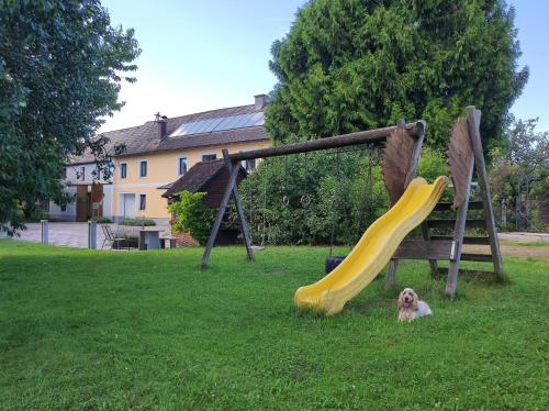 un chien couchant sur l'herbe à côté d'un toboggan dans l'établissement Peterseil's Radl Zimmer, à Mauthausen