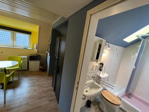 a bathroom with a sink and a toilet at Green Seeblick Hostel und Apartments am See in Obermaubach
