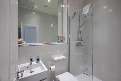 a bathroom with a shower and a toilet and a sink at Summer Lake 32B, Meadowlark in South Cerney
