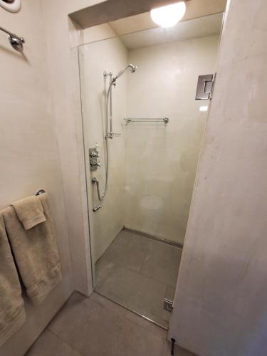 a bathroom with a shower with a glass door at Koru Flat in Dunedin