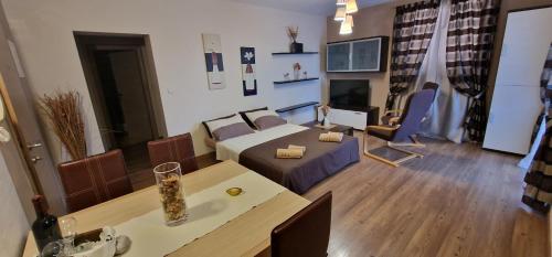 Apartments Fantazija - local host