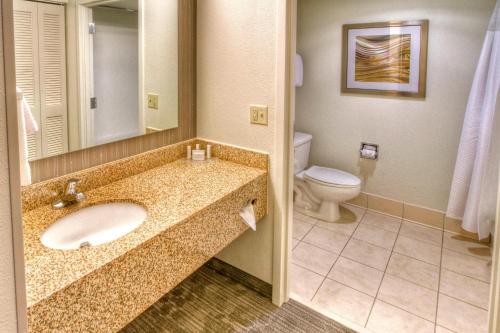 La salle de bains est pourvue d'un lavabo et de toilettes. dans l'établissement Courtyard Memphis Germantown, à Memphis