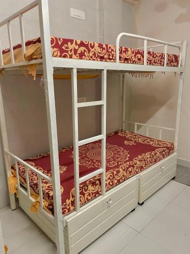 - deux lits superposés dans une chambre dans l'établissement Frostybeds Hostel Kharghar Navi Mumbai, à Navi Mumbai