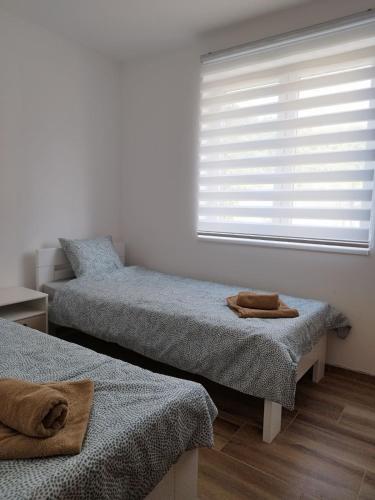 una camera con 2 letti singoli e una finestra di Bora apartman a Soko Banja