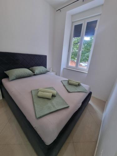een slaapkamer met een groot bed met 2 kussens erop bij Bass Apartment in Pula