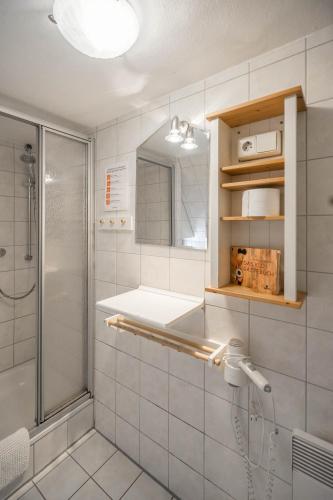 a white bathroom with a shower and a sink at Jägerhaus auf Schloss Neuenburg in Freyburg