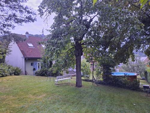 un banco de parque bajo un árbol en un patio en Maison d'hôtes des Mondfänger, en Meisenthal