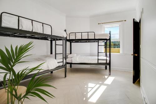 a bedroom with two bunk beds and a potted plant at VENUS Harbourside - FEMALE ONLY HOSTEL in Sydney