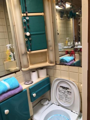 a small bathroom with a toilet with a mirror at Caravan on the beach, pet friendly in Corbu