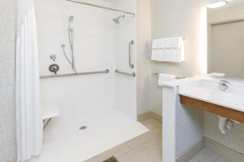 a bathroom with a sink and a shower at Holiday Inn Express & Suites - Sturbridge, an IHG Hotel in Sturbridge