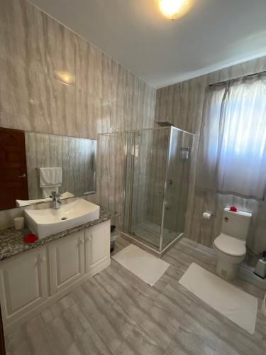 a bathroom with a shower and a sink and a toilet at Didi's Dream apartments in Anse Kerlan