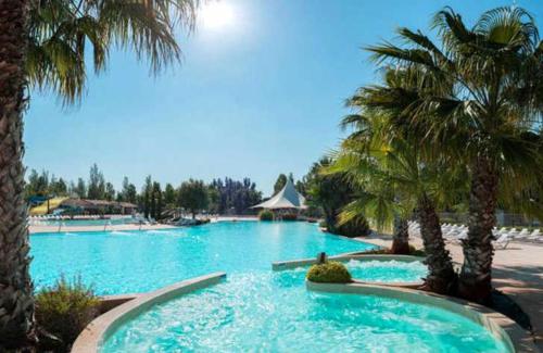 - une grande piscine avec des palmiers dans un complexe dans l'établissement BUNGALOW LUXE MAZET ROYAL carabasse Vias plage ACCES proximité PISCINE, à Vias