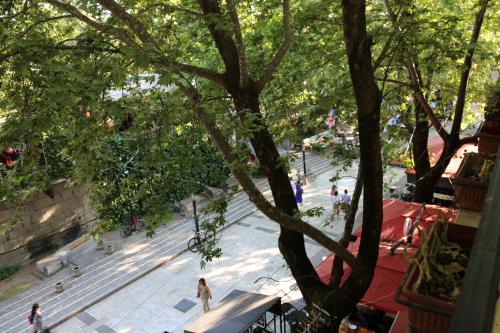 un gruppo di persone che camminano su un marciapiede sotto un albero di Hotel Millenium Tirana a Tirana