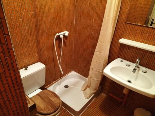 a small bathroom with a toilet and a sink at Chambre Triple avec Salle de Bains Privative 2 in Vallouise